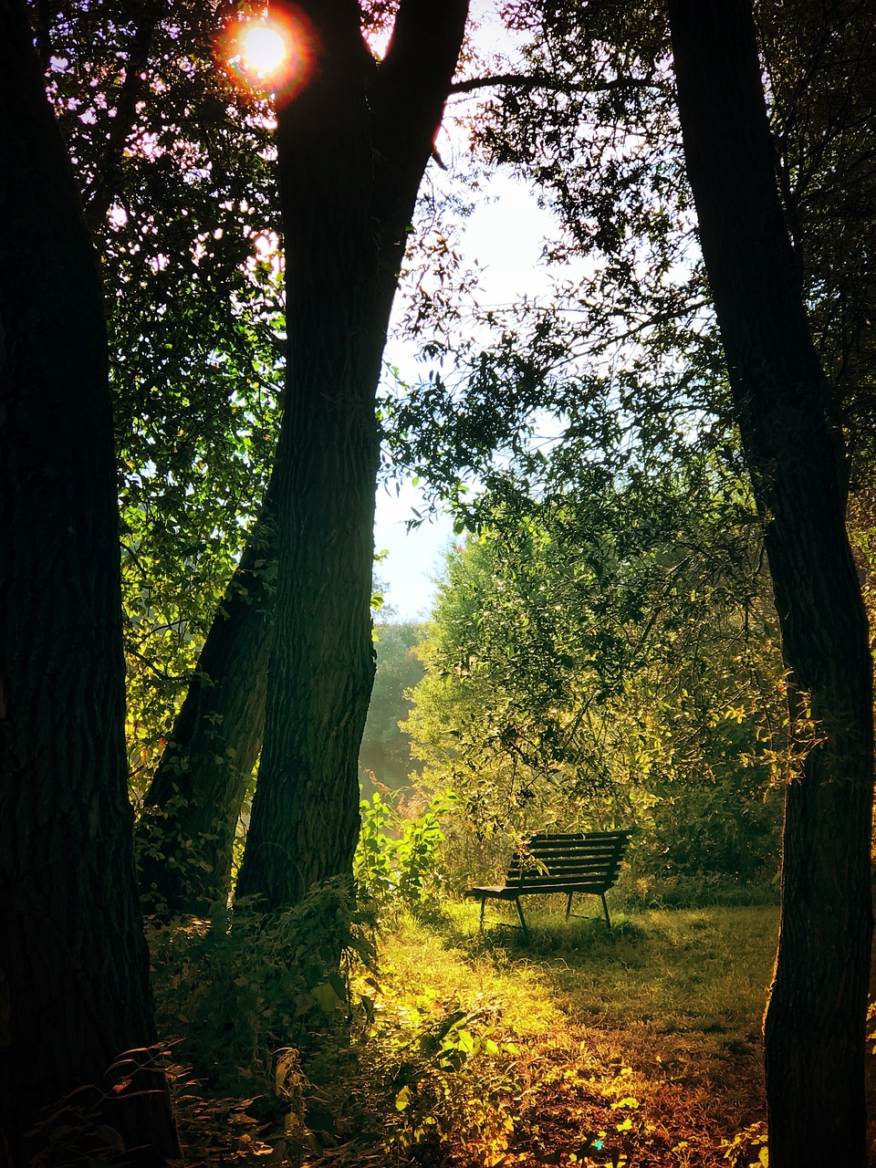 entdecken sie wege zu einem besseren wohlbefinden mit unseren tipps und ressourcen für körperliche und geistige gesundheit. verbessern sie ihr leben und fühlen sie sich rundum wohl.