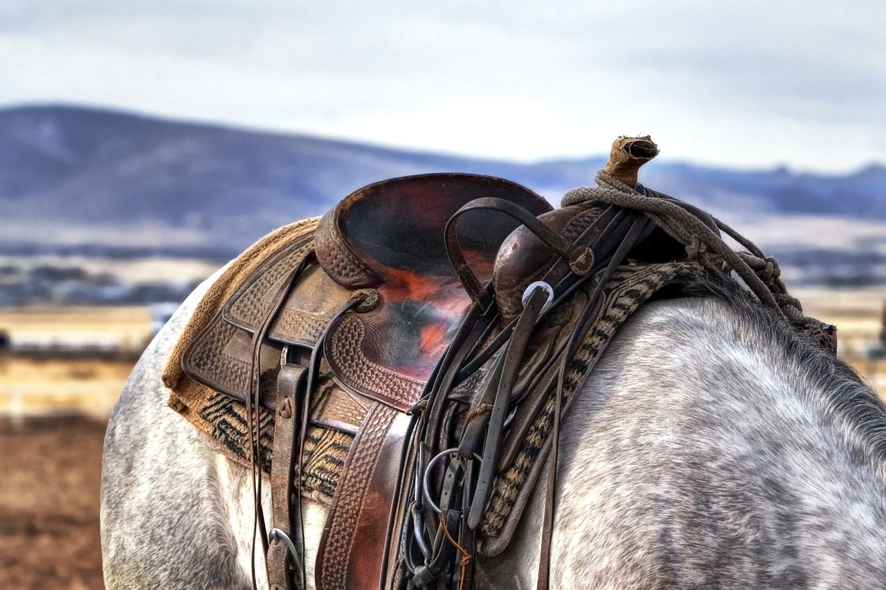 entdecken sie die wildwest-welt voller abenteuer, cowboys und beeindruckender landschaften. erleben sie die geschichte und die faszination der western-kultur durch filme, bĂŒcher und spiele.